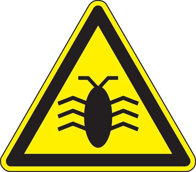 Bug on yellow warning sign image