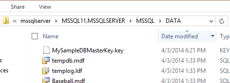 sql backup master key