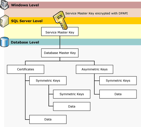 Using Cell-Level Encryption in SQL Server – SQLServerCentral