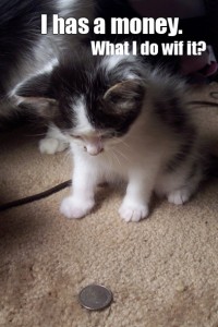 lolcat_money
