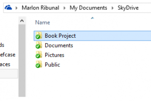 SkyDrive Files SkyDrive Local Folders
