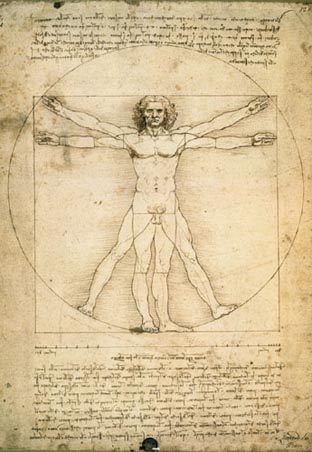 https://www.popartuk.com/art/leonardo-da-vinci/vitruvian-man-with-annotations-hr12973-poster.asp
