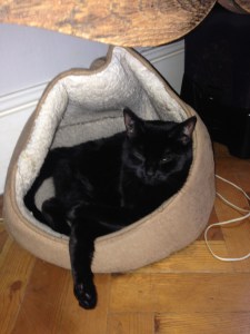 SQL Server Update with JOIN