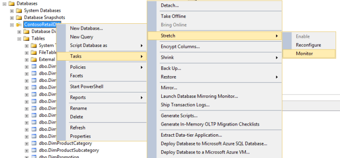 Open StretchDB Monitor with GUI