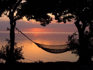 Increase Your Performance By Doing Nothing A hammock in the sunset