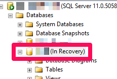 SQL Server Database in recovery