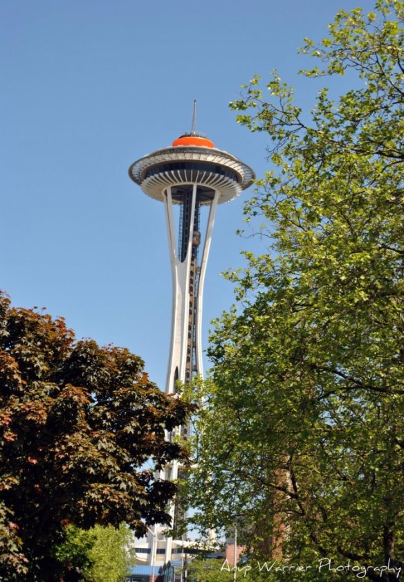 537726_10150811249533204_1542860684_n