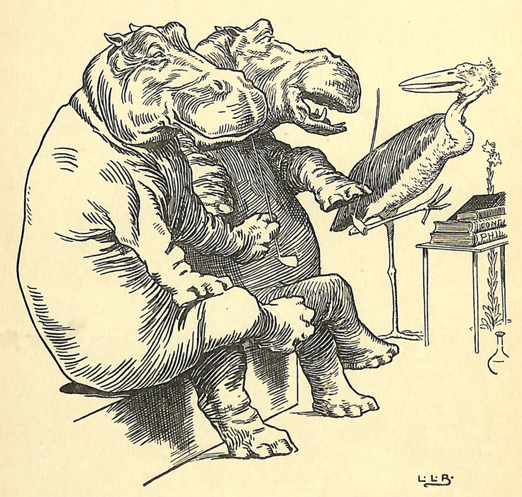 Johnny_Crow's_Garden_-_Till_the_Hippopotami_Said_-__Ask_no_further_'What_am_I_'_