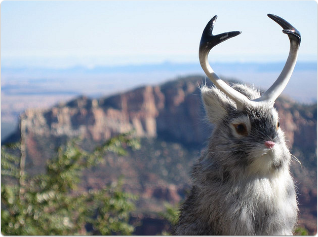 Transaction Logging & Recovery (part 3)