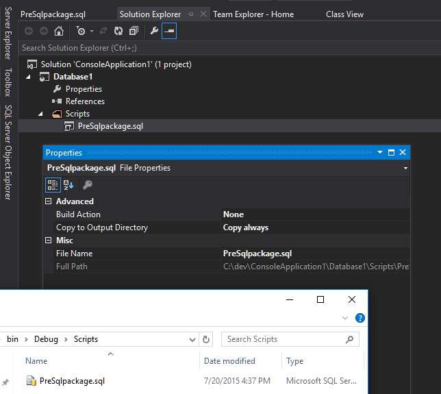 set script properties to include in output folder