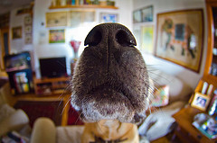 parameter sniffing https://www.flickr.com/photos/nalbertini/6224914311/in/photolist-au5j9P-oovkHJ-j5hbfL-o2tQP4-5rjH9-o63z6j-e16cSr-o6eBtd-83UkyT-61apWt-xMWdz-6vUmcL-ojqHXt-krd1A8-bwvg6r-4wvJLh-pweDW5-5UzK52-NwvaB-4uQ6em-dZ7BLC-reoTH4-7RN6Bi-kr7ViJ-5BgntE-83a6sH-duXGC-6c3j6-Rphmr-4ceWRz-9pMBSV-4mz1HK-2kLC5w-6N2QGL-bcP2Qc-62i9cA-dPe47C-6ugVmj-59x1pS-6PYR8J-9QpqJK-83XraW-xJ3MS-mkE3Fq-5uJunA-oMMXp-rEX8bF-of5Fpr-3aJrZd-6WLBU7/