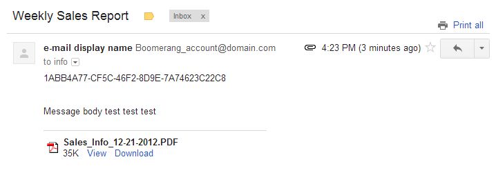 Boomerang Notification Framework - Sample Email