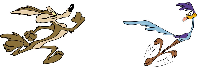 Image result for roadrunner